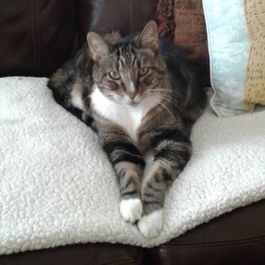 Meet your Posher, April